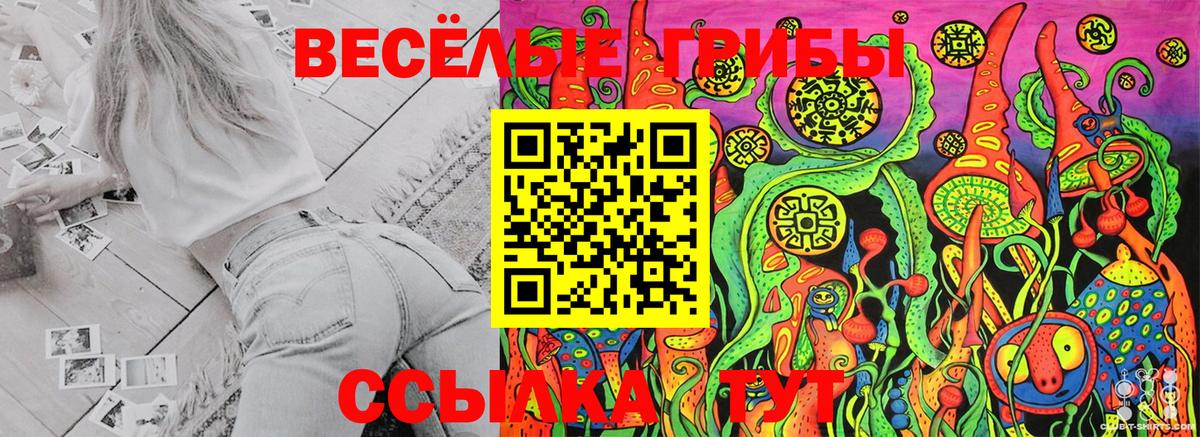 наркота  Псилоцибиновые грибы Cubensis  Вход с VPN  Галлюциногенные грибы мицелий  Дальнереченск 